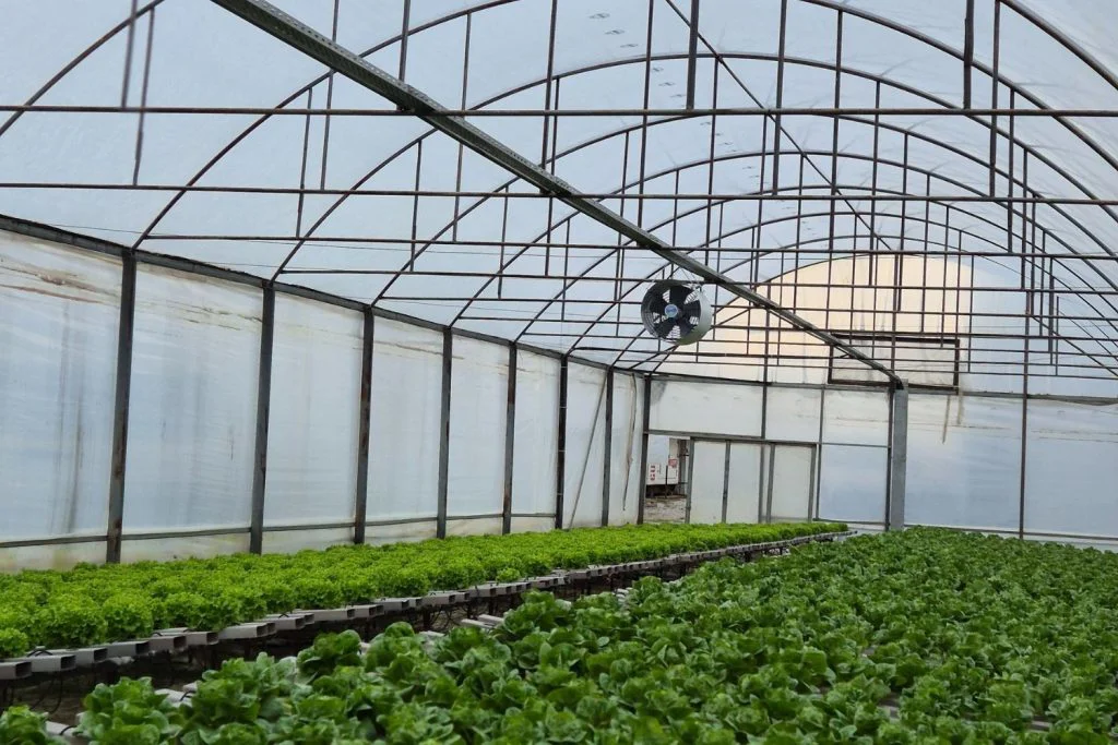 Greenhouse climate control system