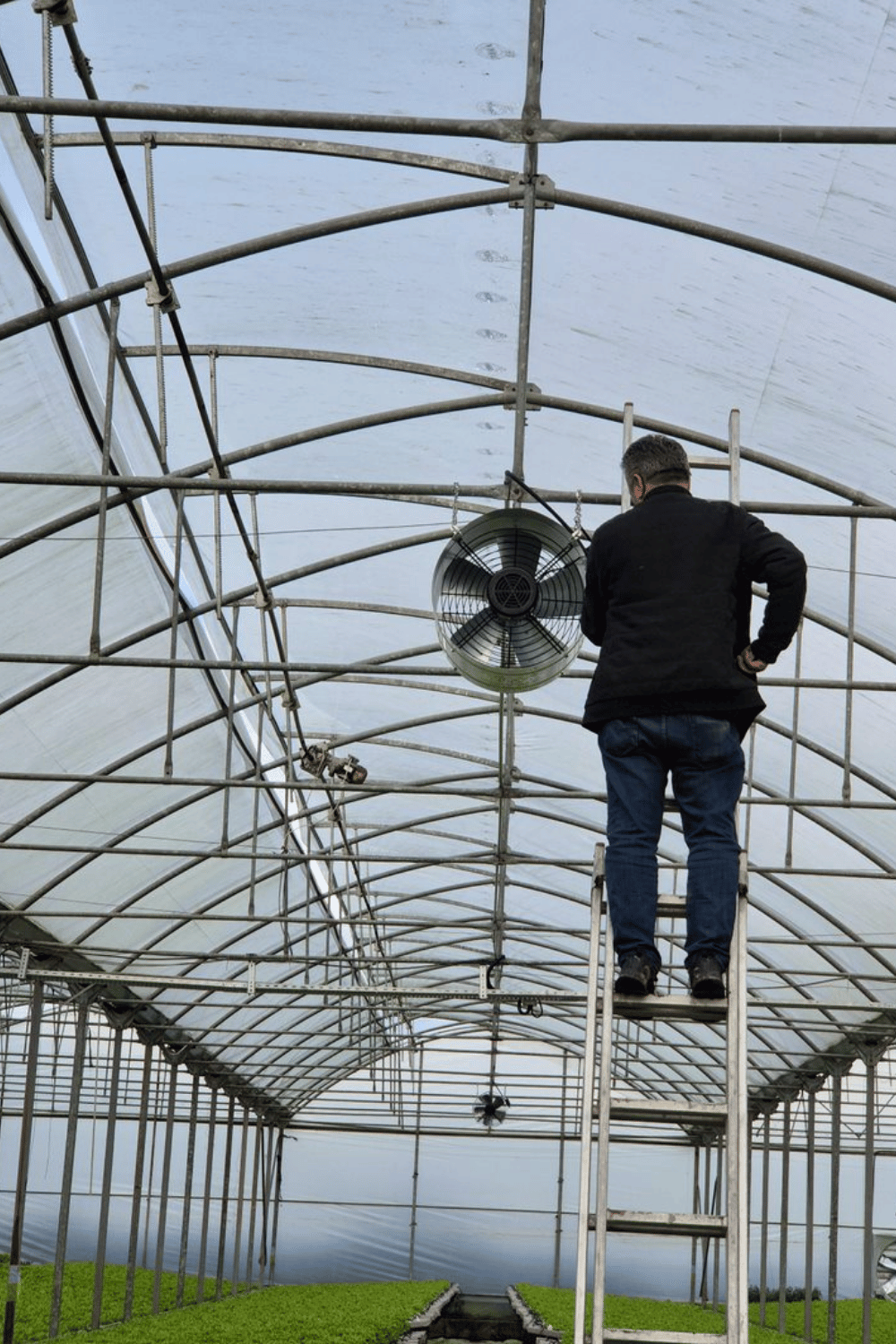 Greenhouse Climate Control Systems: Comprehensive Guide for Smart Greenhouse Farming | Esular