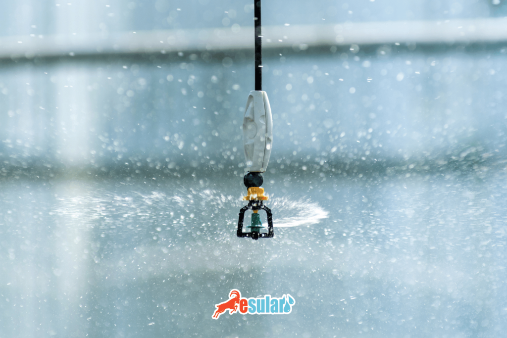 greenhouse-irrigation-systems