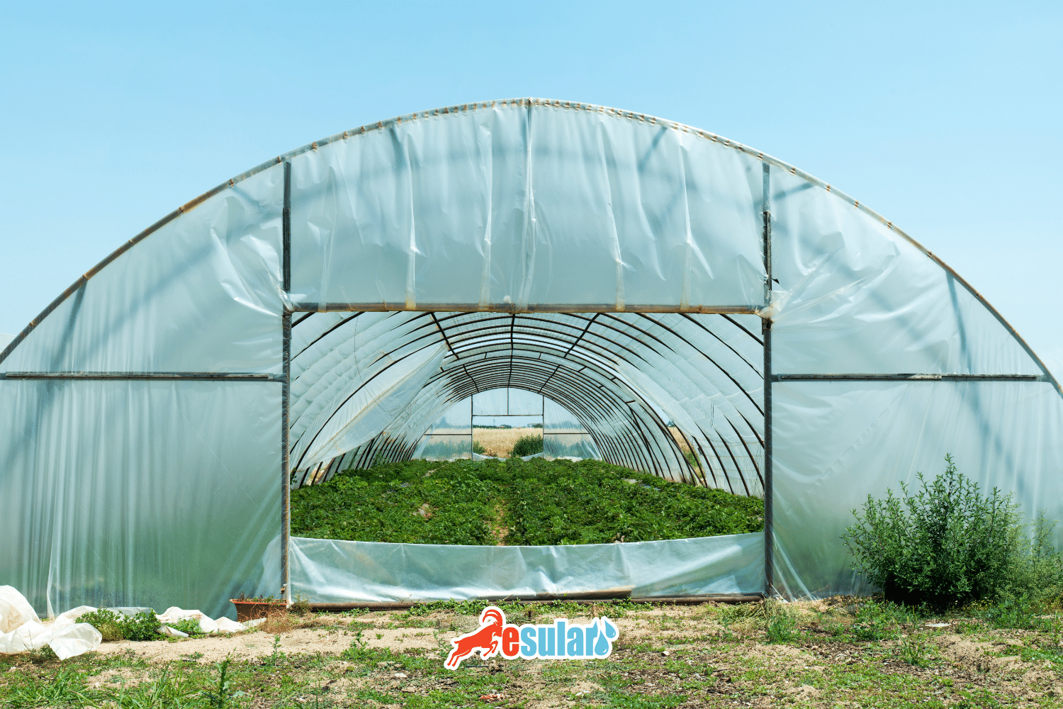 Greenhouse Farming Grants and Supports