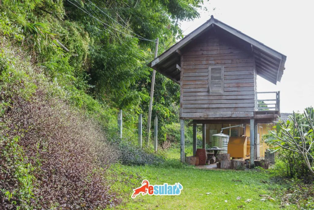 serender-nasil-yapilir