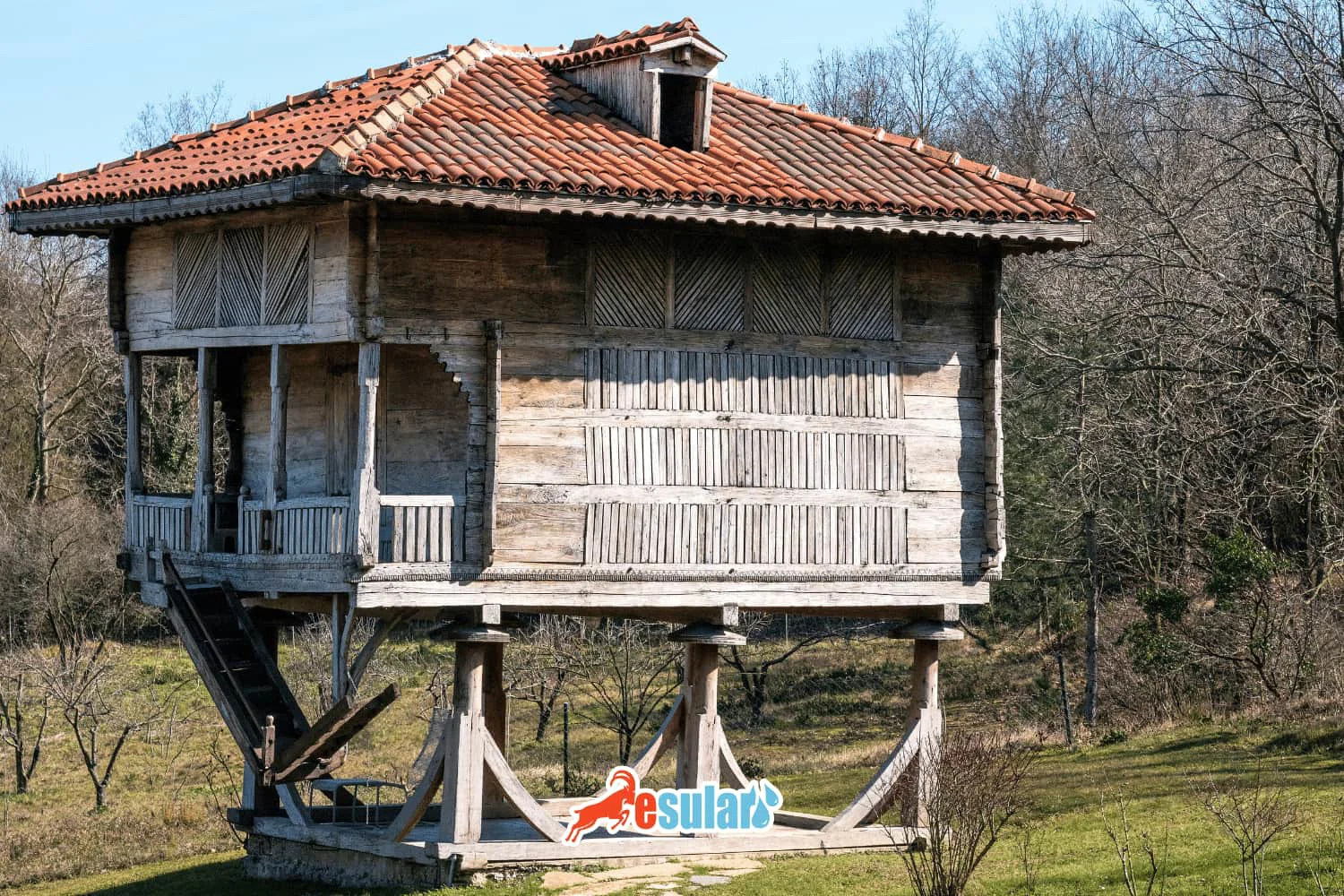 什么是 Serender (Nayla)？