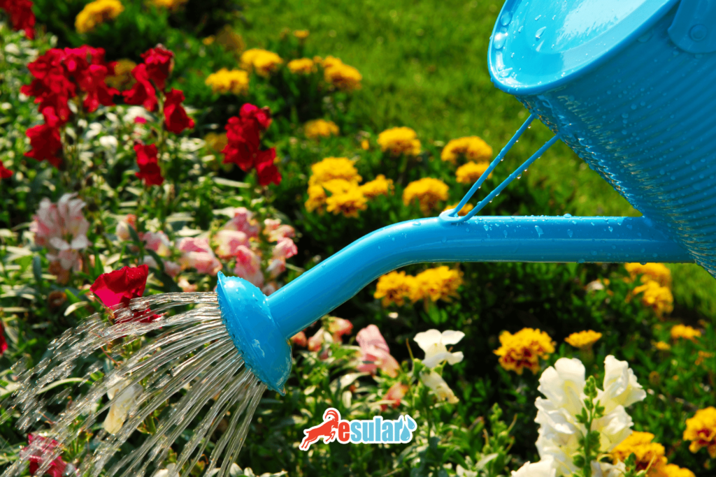 suzgecli-kova-ile_sulama