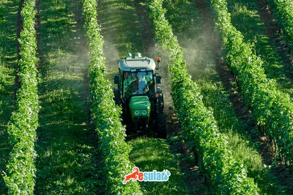 sıvı kükürt nasıl atılır