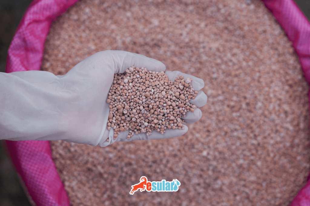 Base fertilizer application techniques