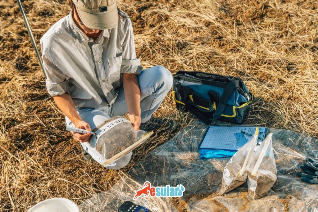 toprak-analizi-neden-yapilir