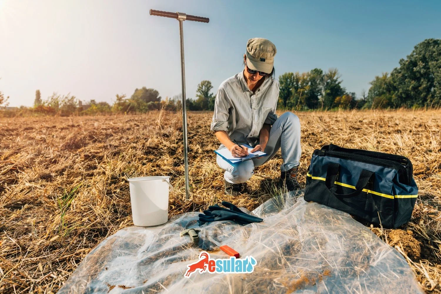 如何进行土壤分析？