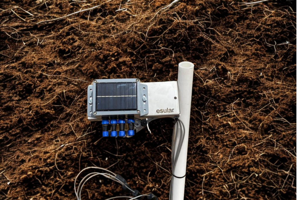 Toprak nem sensörünün tarlada uygulanması