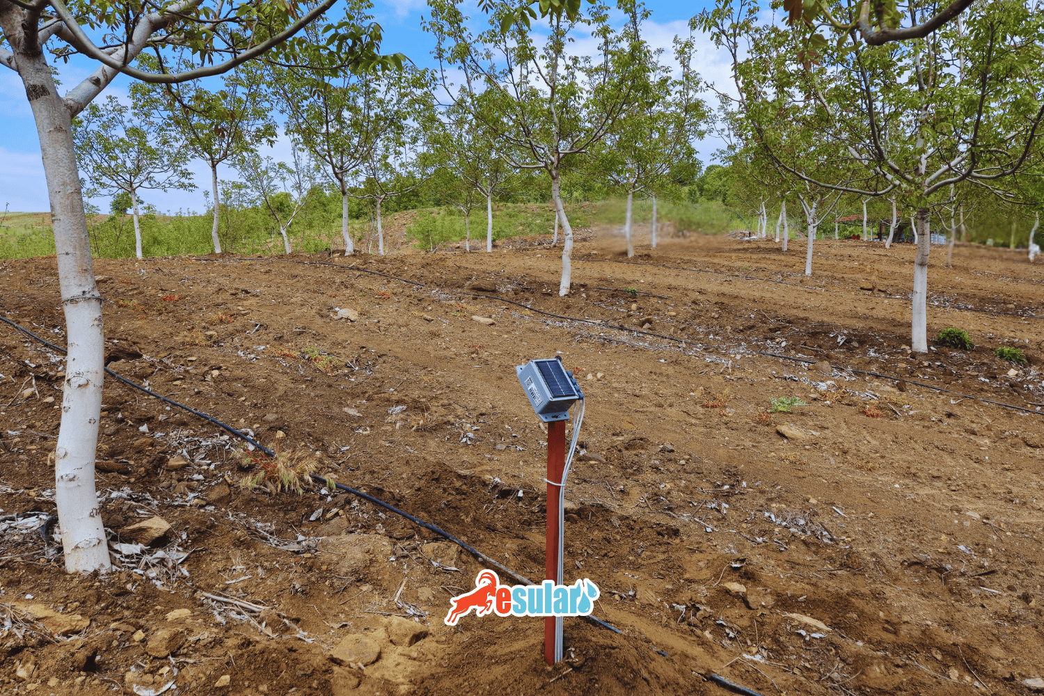 Toprak Nemi, Su Hareketi Ve Ölçüm Yöntemleri