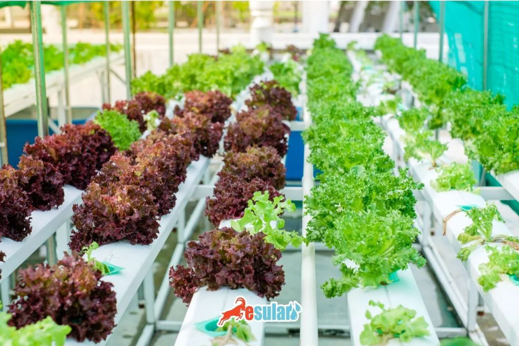 Soilless farming application