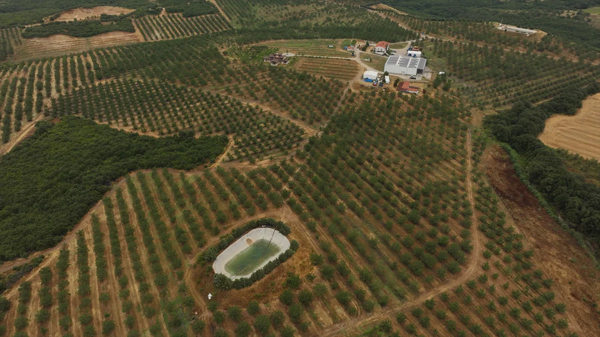 AI-powered irrigation system provides yield increase and energy savings