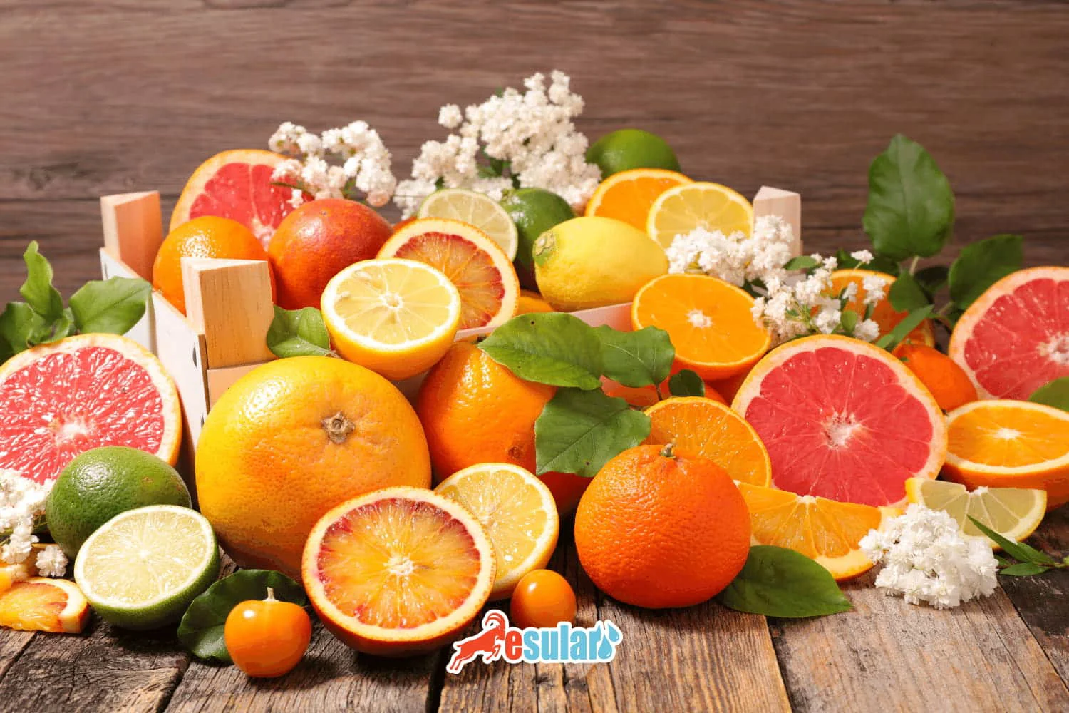 What Are Citrus Fruits? Citrus Varieties