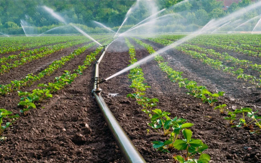 Sprinkler irrigation