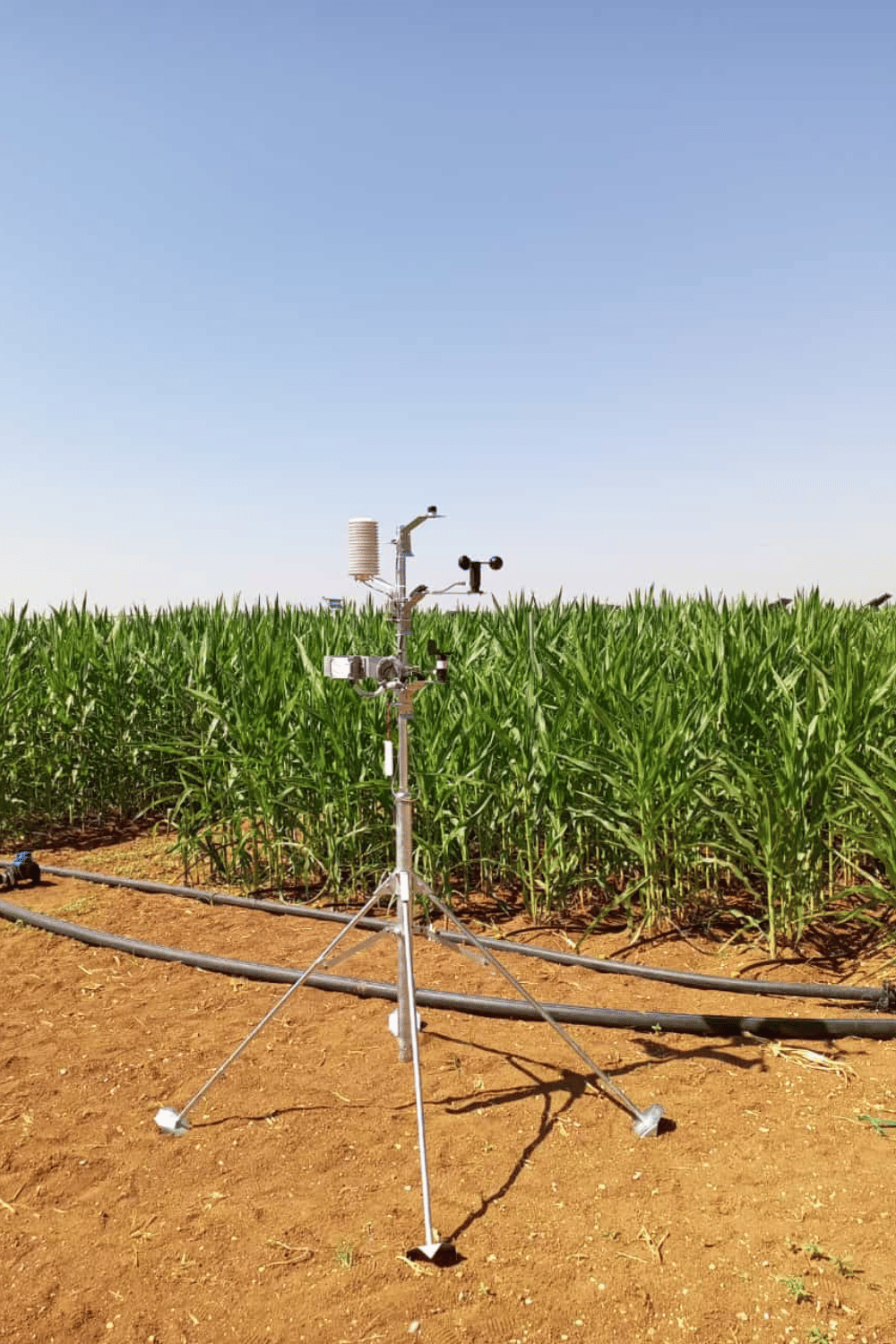 AI-Supported Smart Agriculture Technologies