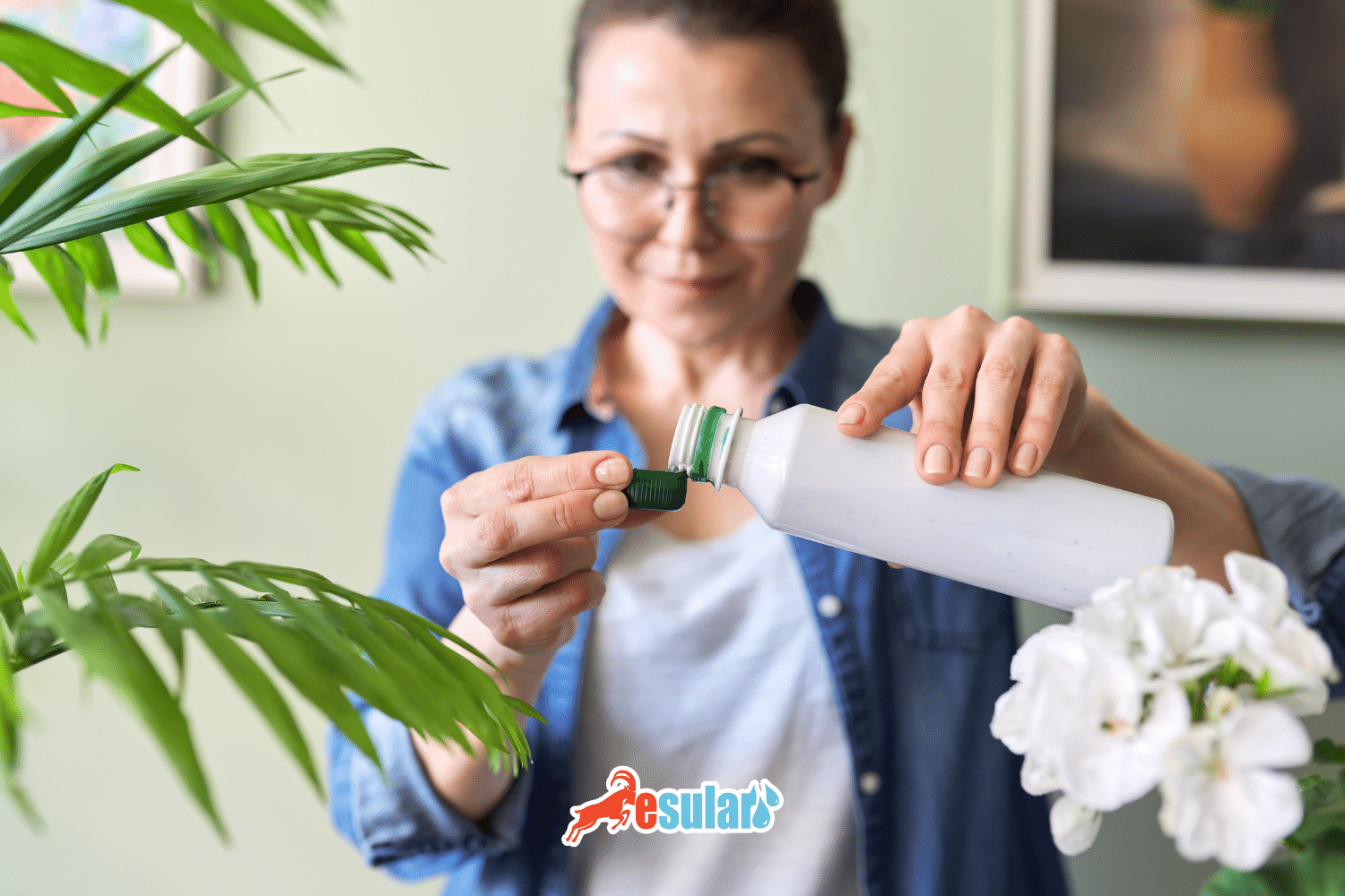 What is Foliar Fertilizer?