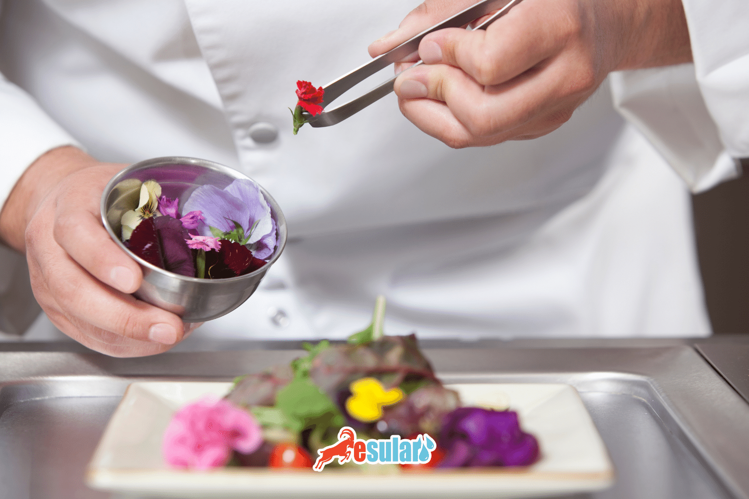 What is an Edible Flower?