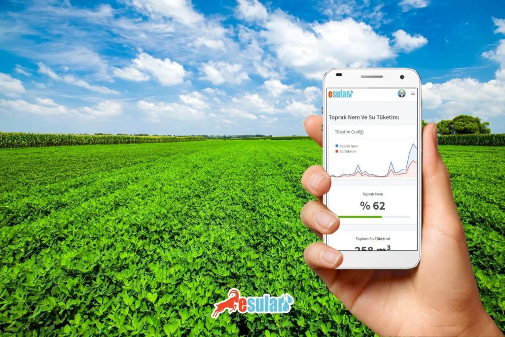 yer-fistigi-nasil-sulanir