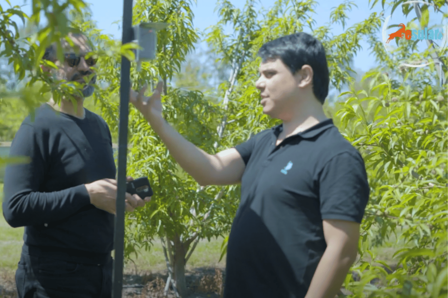 桃园，Esular 智能灌溉，自动灌溉应用