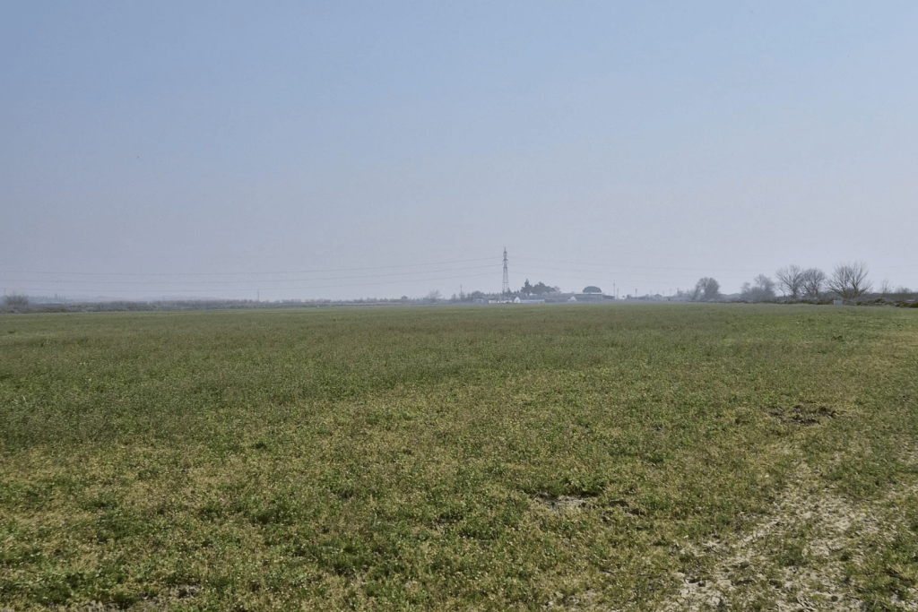 yonca-tariminda-sulama-esular