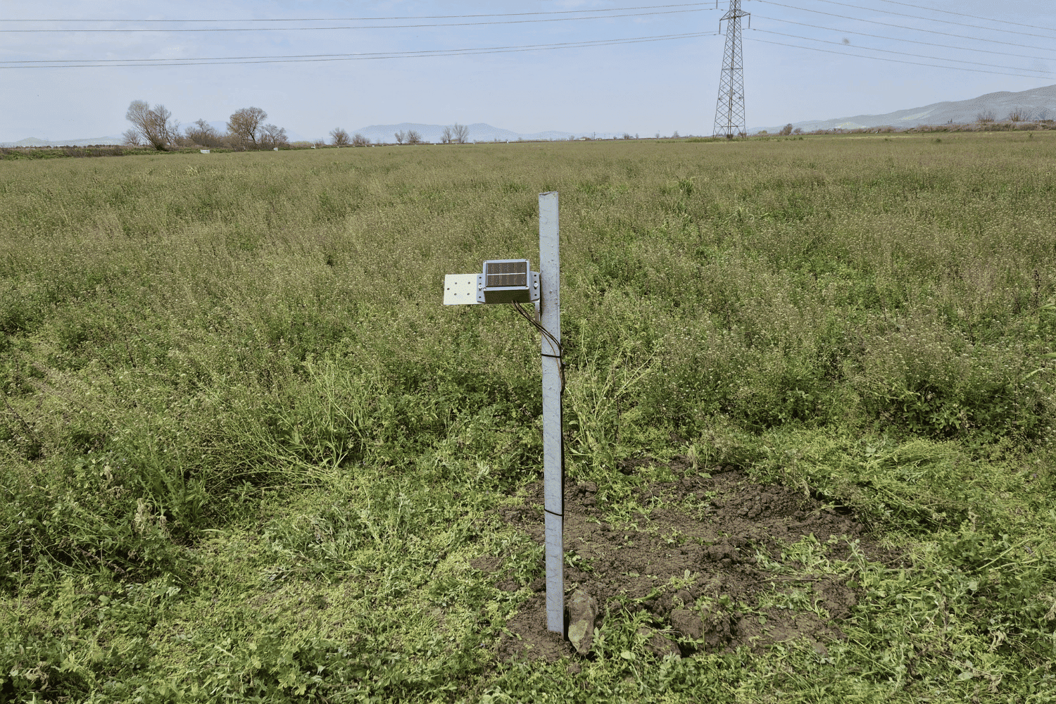 在不了解土壤湿度的情况下请勿灌溉！ | Esular 智能农业解决方案