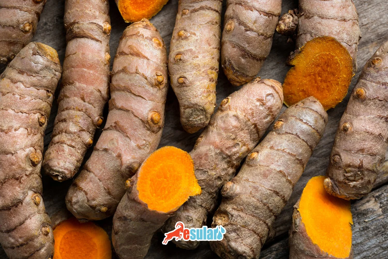 How to Cultivate Turmeric?